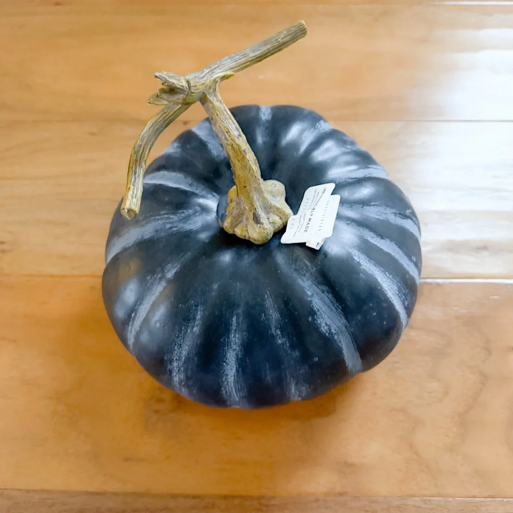 Brand New Pottery Barn Black Faux Pumpkin, NWT - Picture 3 of 3